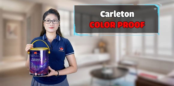 CARLETON COLOR PROOF - CHỐNG THẤM PHA MÀU HIỆU QUẢ