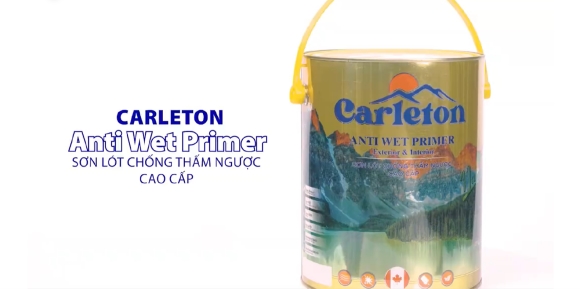CARLETON ANTI WET PRIMER - SƠN LÓT CHỐNG THẤM NGƯỢC CAO CẤP